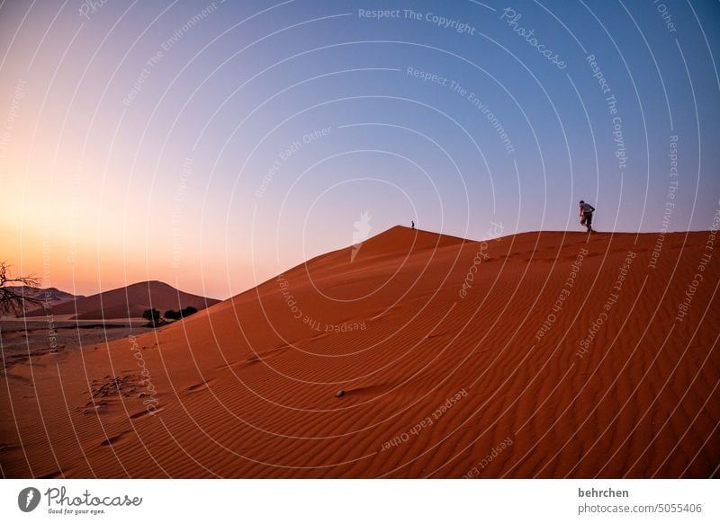 when the day gently embraces the night silent Impressive sand dune Sesriem Sunrise Nature romantic Dawn Freedom especially Far-off places Namibia magical duene