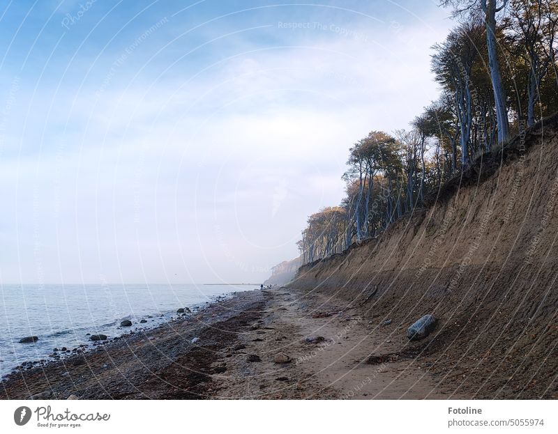 2300 - Favorite Places / The beach at the Gespensterwald in Nienhagen is still slightly in the fog. So everything looks very mysterious and magical.