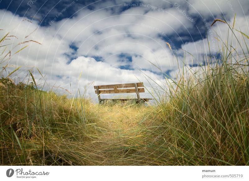 break area Relaxation Calm Nature Air Sky Grass Bushes Meadow Hill Wooden bench Natural Vacation & Travel Idyll Break Perspective Colour photo Exterior shot