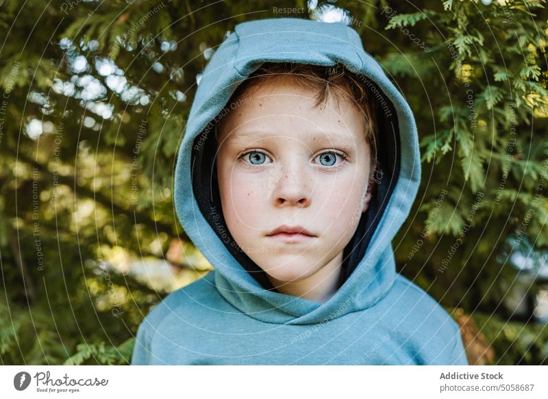 Unemotional child in hoodie in forest boy kid amazed portrait preteen tree head human face park coniferous wonder expressive gaze nature blue eyes appearance