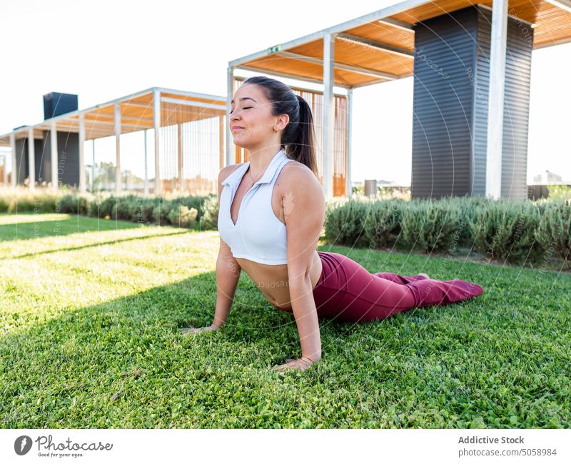 Young woman doing Cobra pose on grass athlete smile stretch yoga practice healthy lifestyle cobra pose meadow asana nature female sportswoman young lawn