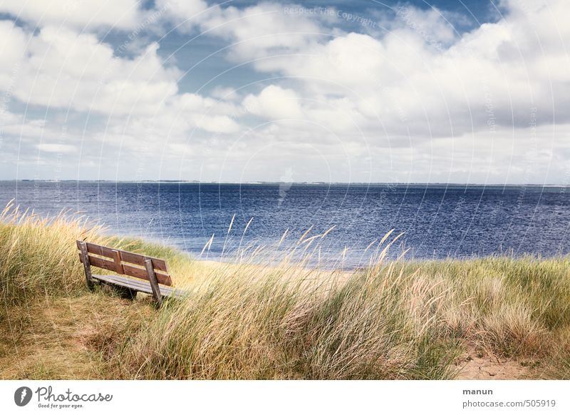Take a seat Vacation & Travel Sightseeing Bench Nature Landscape Elements Coast North Sea Ocean Island Relaxation Sit Calm Loneliness Peace Break Far-off places