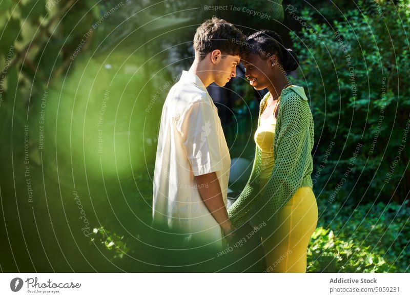 Multiethnic couple touching foreheads during date touch forehead tender garden summer weekend holding hands love affection boyfriend girlfriend together