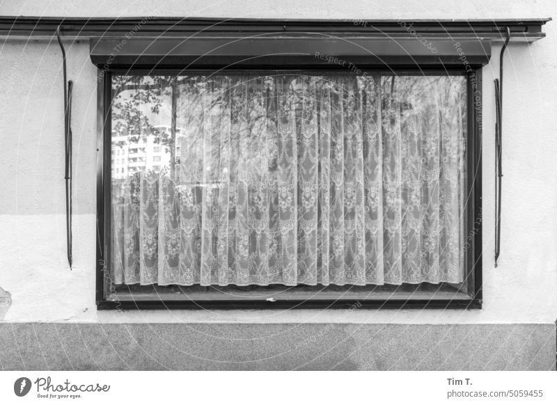 Window with curtain Berlin Curtain b/w Wedding Autumn Black & white photo Deserted Architecture Day Exterior shot Town Capital city Downtown Building