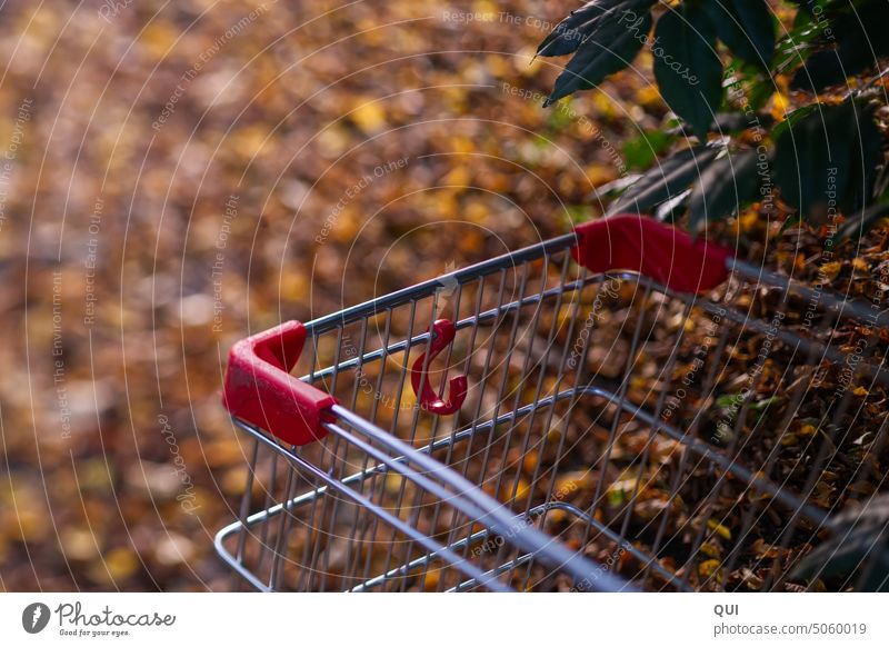 Shopping cart... Autumn shopping in nature Shopping Trolley Red Silver Metal SHOPPING Forget turned off Shackled bokeh Autumnal purchasing Nature Autumn leaves