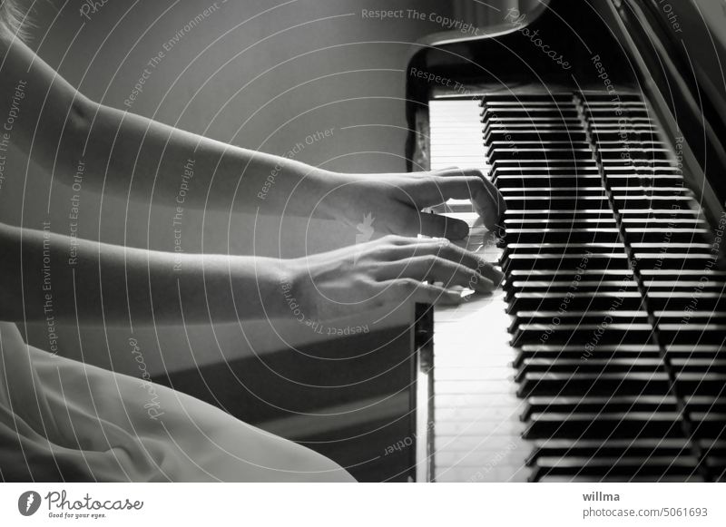 The piano player Piano Pianist Play piano hands Arm Music Make music person feminine Musical instrument Keyboard instrument Classical Concert fumble Musician