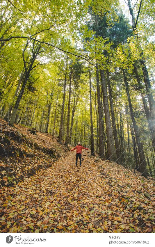 Walk in the fresh air in the autumn colourful forest in Beskydy mountains, Czech republic. Hiking lifestyle. Happy hiker in wild autumn nature. October explore