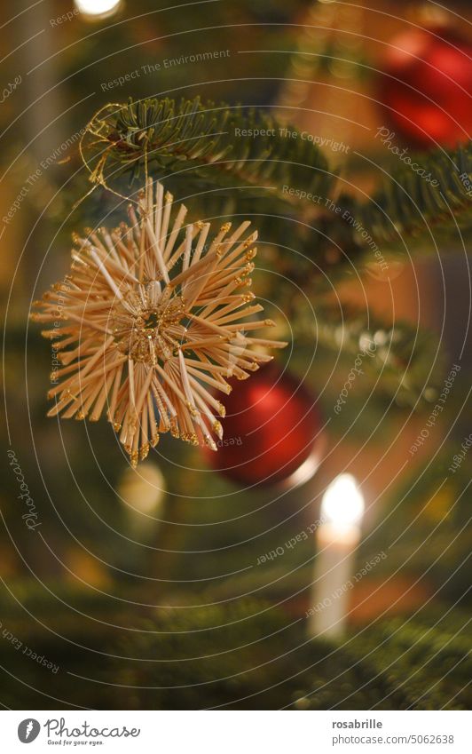Straw star on Christmas tree (2) decoration Decoration Christmas & Advent Tree christmas tree Christmas tree decorations Light Illuminate straw star Stars