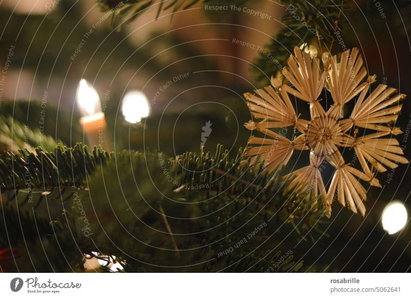 Straw star on the Christmas tree decoration Decoration Christmas & Advent Tree christmas tree Christmas tree decorations Light Illuminate straw star Stars