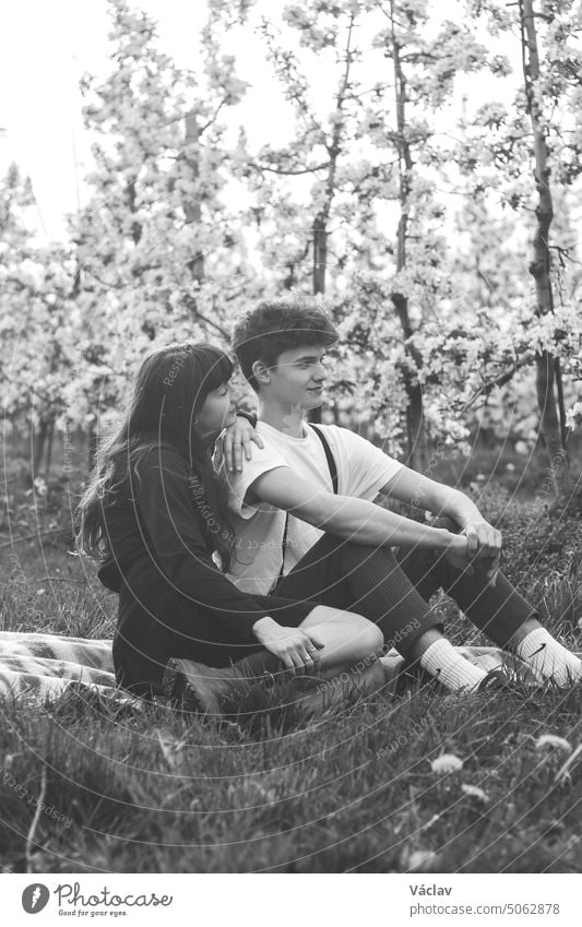 Beautiful young couple declare their affection, togetherness and love in a blossoming apple orchard with a smile on their faces. Real couple in black and white
