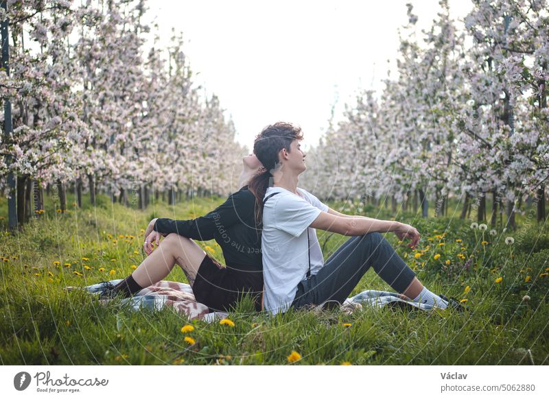 Beautiful young couple declare their affection, togetherness and love in a blossoming apple orchard with a smile on their faces. Real couple relationship