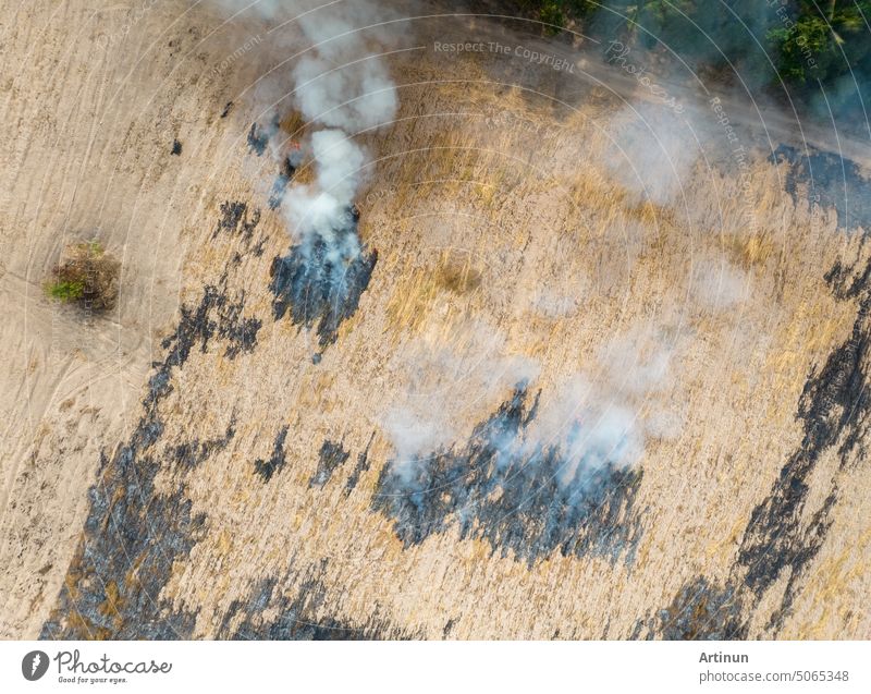 Aerial view of agriculture farm with smoke from crop fire burning releases carbon dioxide. Greenhouse gas. Farmers burn crop residues after harvest to prepare land. Air pollution. Environmental issue.