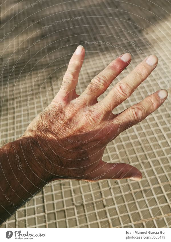 Thin and wrinkled male left hand, middle-aged man fingers birthmarks nails sidewalk grid hairy hairs open shadowed outstretched down knuckles wrinkles fine