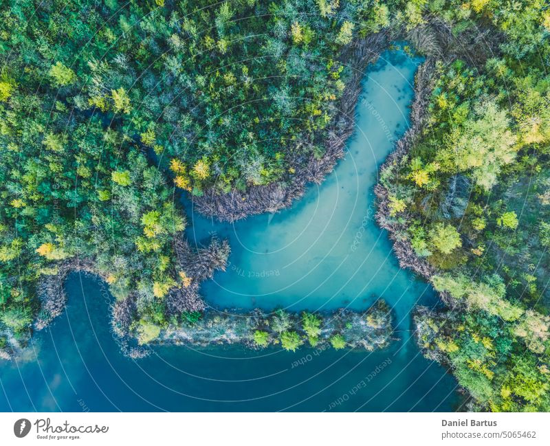 Aerial view of a forest lake. Aerial view of blue lake and green forests on a sunny summer day. Drone photography. Forest and lake border, Toned image from above. Coastline view from the drone.
