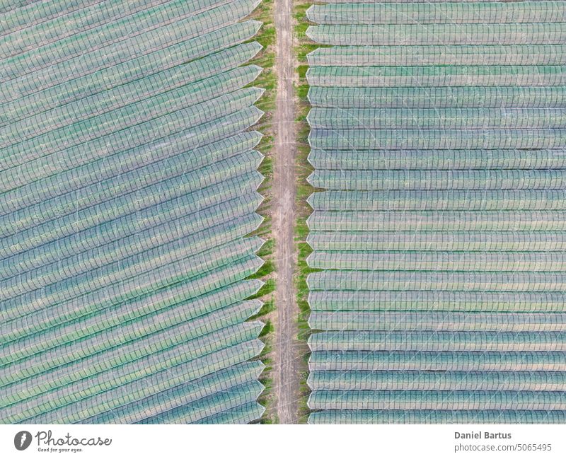 Aerial view of orchard with apple trees during sunset. The fields are covered with a hail net. Beautiful outdoor countryside scenery from the drone view. Lots of flowering plants and trees. Autumn