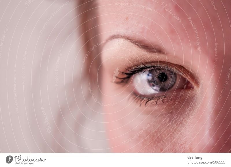 eye contact Feminine Young woman Youth (Young adults) Skin Face Eyes 1 Human being 18 - 30 years Adults Observe Simple Beautiful Near Orange Pink Red White