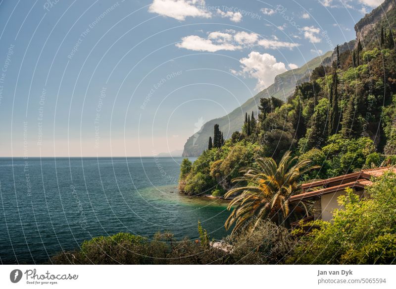 On the shore of Lake Garda Idyll vacation Beach bank Ocean palms clear Water Summer coast clear water Adriatic Sea Vacation & Travel Landscape Rock