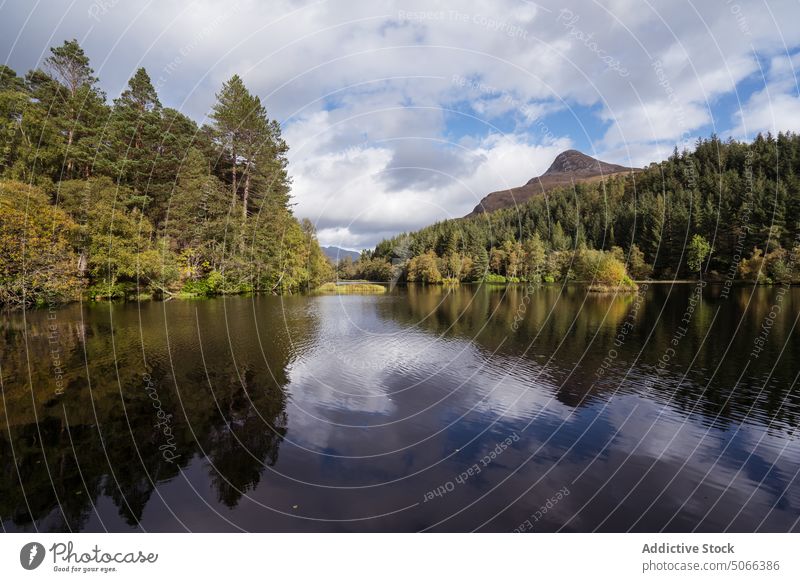 Lake amidst trees in nature lake forest lush mountain countryside landscape water stream picturesque scotland glencoe lochan scenery river pond