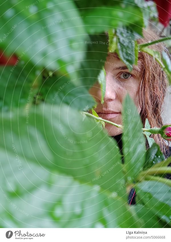 Woman's face through green leaves Face Eyes Looking portrait Young woman Hair and hairstyles Head Portrait photograph Looking into the camera Face of a woman