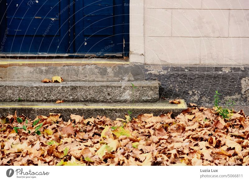 Autumn is here: in front of stairs and a blue door collects autumn leaves Autumnal Autumn leaves Autumnal colours Nature autumn mood Seasons foliage
