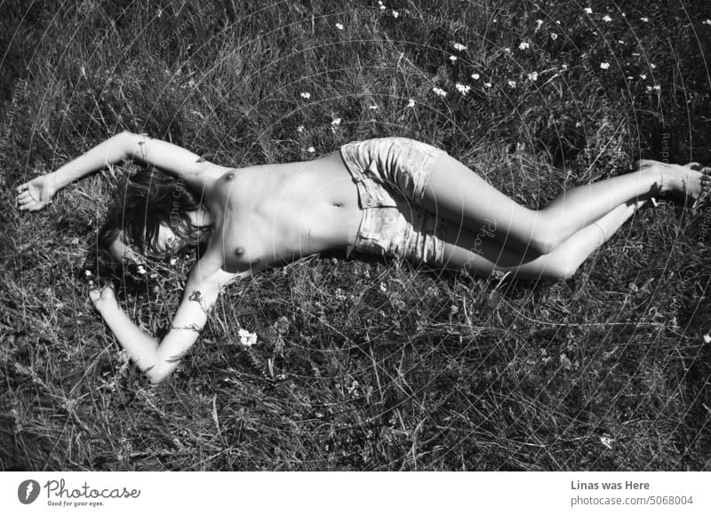A wonderful meadow is a place to stretch. For a gorgeous topless woman. A sexy naked girl is showing her perfect curves. An erotic image of wild nature and an even wilder girl.