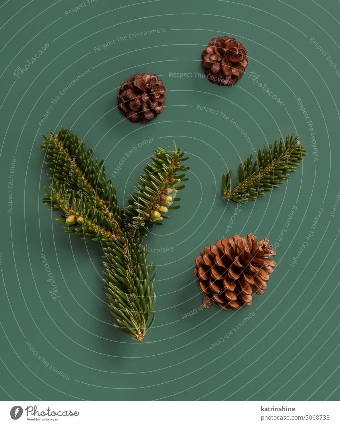 Fir branches and pine cones top view on green. Christmas or New Year Holiday winter composition fir dark green Brown natural fir branch twig xmas negative space