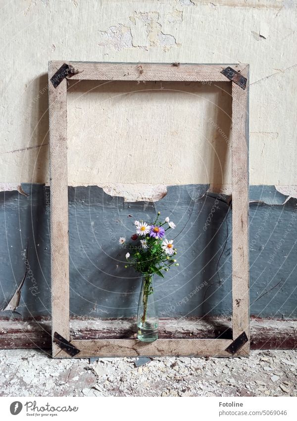 I think every Lost Place needs some fresh flowers. The asters in the vase in the picture frame are a souvenir from my garden. lost places Old Decline Transience