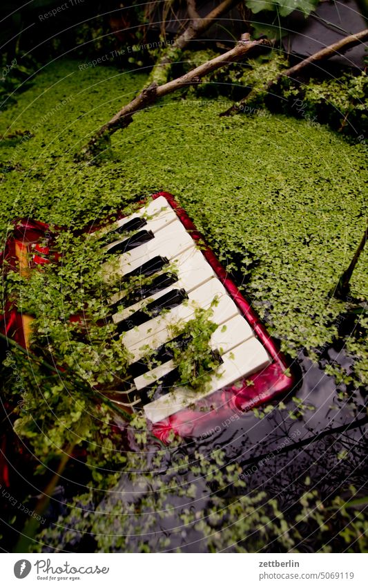 Accordion In Water drowned Garden Keyboard Piano allotment Music Trash Pond tstature ponds downfall chordoeon schifferklavier bandoneon submerged perished