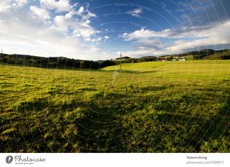 hilly country Cable Environment Nature Landscape Plant Sky Clouds Horizon Summer Weather Beautiful weather Warmth Tree Grass Bushes Meadow Forest Hill