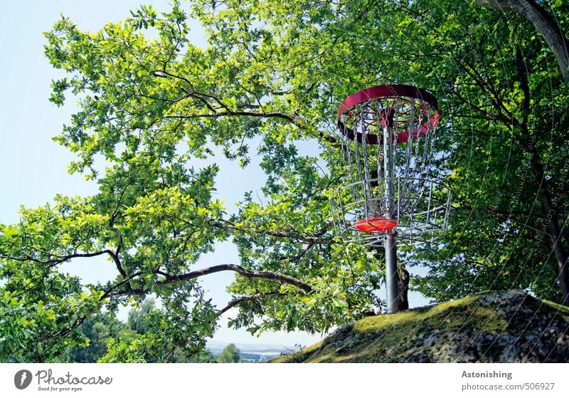 target Sports disc golf Frisbee Basket Sporting Complex Environment Nature Landscape Plant Air Sky Summer Weather Beautiful weather Warmth Tree Moss Leaf Forest
