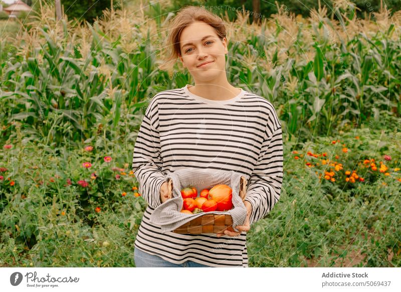 Satisfied young farmer demonstrating collected ripe tomatoes in wicker basket satisfied happy show fresh greenery village vegetable harvest smile food woman