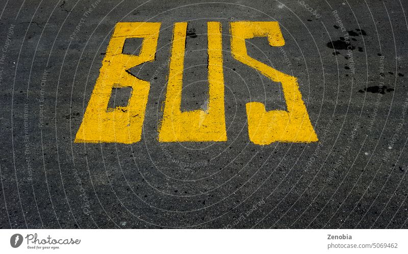 The word BUS stencilled on road at bus stop lettering public transport nz yellow bold graphic words large grunge grungy Public transit Bus travel Transport