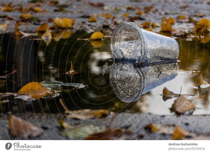 Puddle with colored autumn leaves in which lies an empty transparent plastic cup reflected in the, horizontal Autumn Rain Autumnal weather Rainy weather foliage