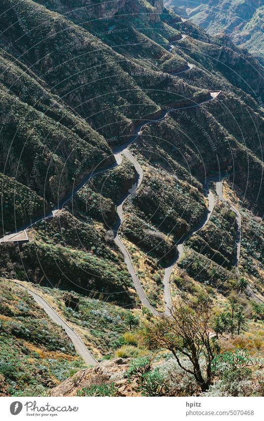Twisted Ways tortuous paths La Gomera Nature Canyon mountain landscape mountain road Mountain road