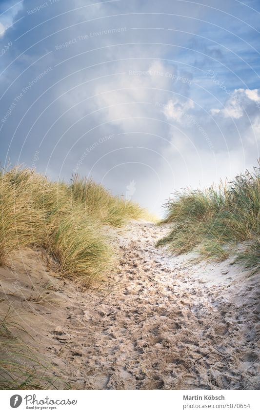 Beach crossing in Denmark by the sea. Dunes, sand water and clouds on the coast sky ocean horizon beach transition romance panorama time out travel nature