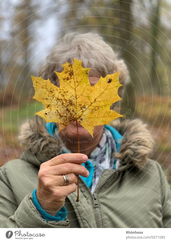 Autumn leaf covers face Autumn leaves Autumnal Leaf Exterior shot Colour photo Nature Seasons people Outdoors Cheerful person emotionally Love of nature