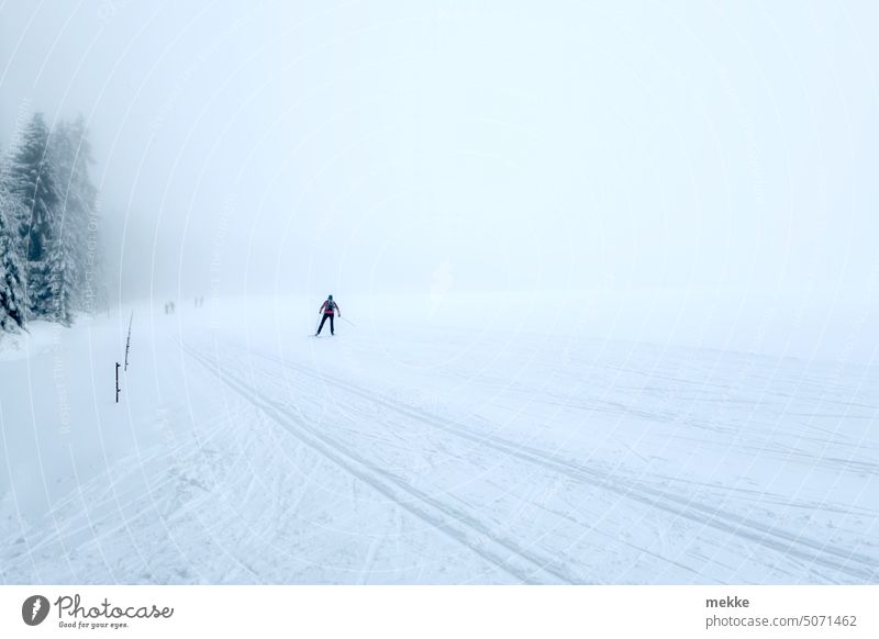 Next to the track Winter Snow Cold Man on one's own cross-country skiing skis Winter sports Leisure and hobbies Skiing Sports Mountain Landscape Winter vacation