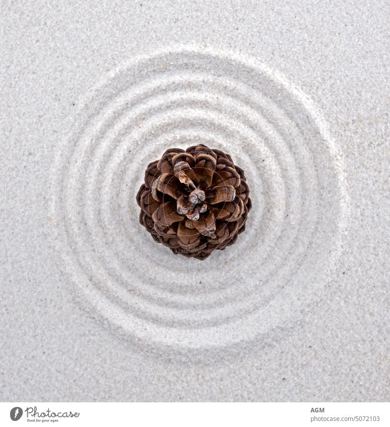 Zen style background with sand and cones Balance Beauty in nature Brown Buddhism Calm circles Concentrate concept Skittle ponder contemplation Dark Design
