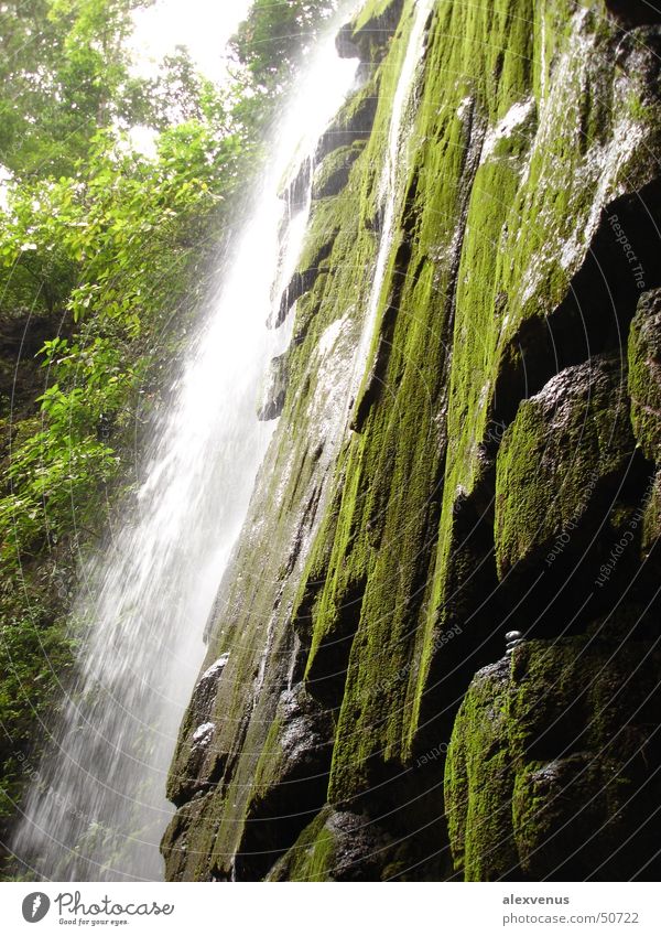 waterfall in costa rica Costa Rica Virgin forest Waterfall Green Nature