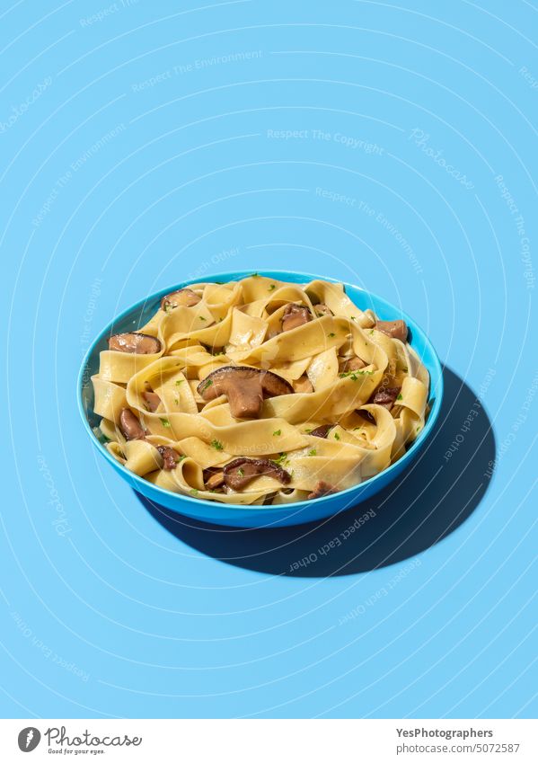 Pasta with wild mushrooms minimalist on a blue background boletus bowl bright carbs champignon close-up color cooked copy space cream cuisine cut out delicious