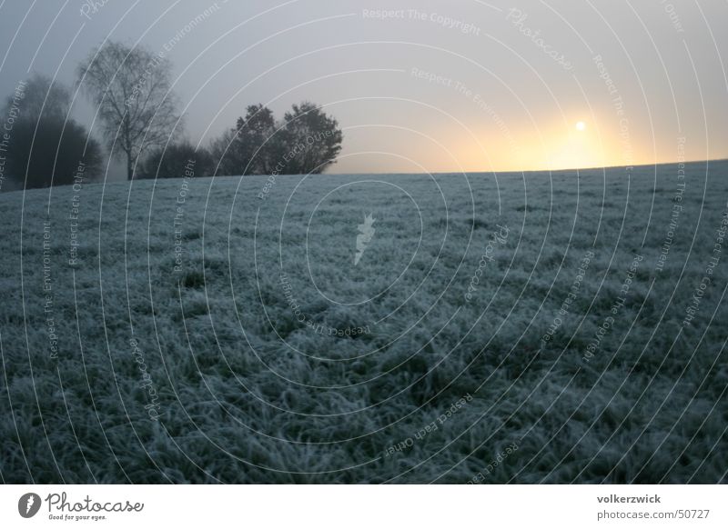winter sunrise Sunrise Winter Frozen Visual spectacle Hoar frost