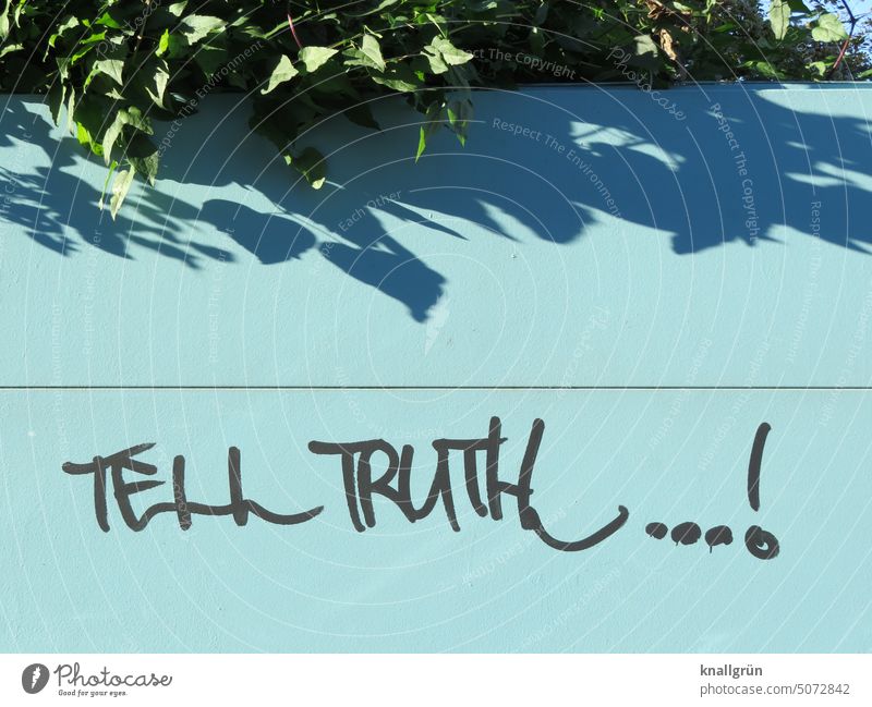 Tell truth...! Truth reality Honest Authentic Moody Emotions Expectation Politics and state Human being Communicate communication Colour photo Deserted