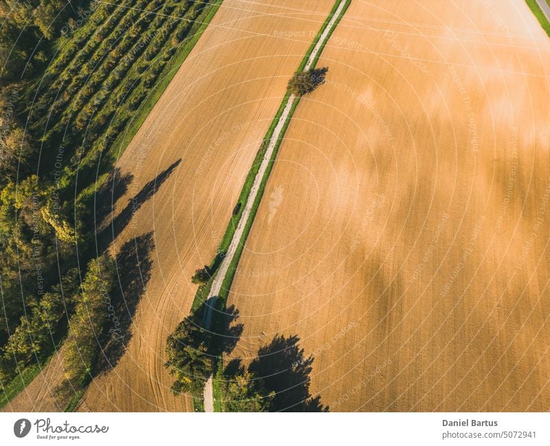 Plowed farmland during the setting sun. In the middle of a paved dirt road aerial aerial farmland agriculture airview asphalt background bridge circles