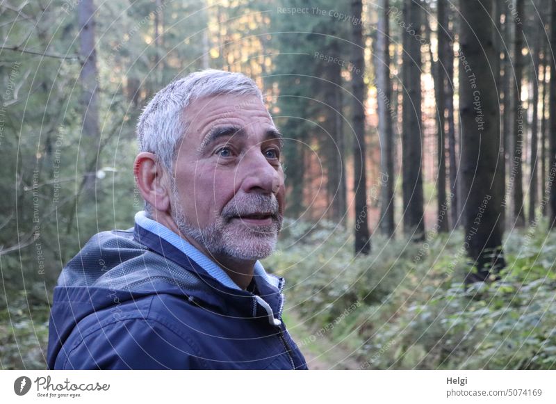 Portrait of senior citizen with short gray hair and gray three day beard in nature Human being Man Senior citizen portrait Forest out Autumn Looking Male senior