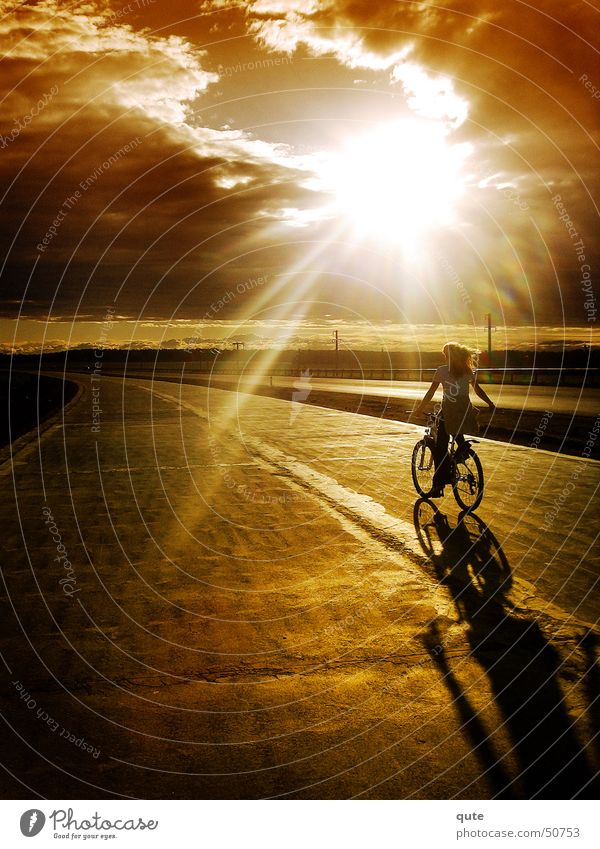 into the light Sky Sunset sun clouds Bicycle road freedom