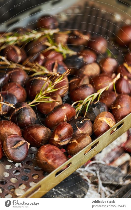 Delicious chestnuts on metal tray leaves autumn forest pile season edible tasty natural fresh nutrition delicious heap organic ingredient food plant seed