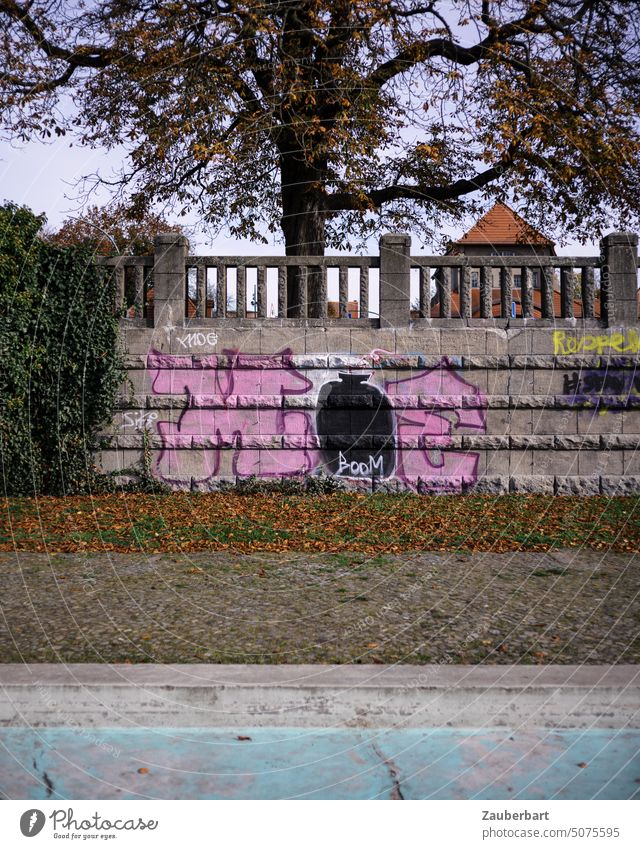 Graffiti in pink with bomb on the wall in a park, behind it a large beech tree, as a symbol of opposition and rebellion Park Pink Bomb boom Tree Basin Suburb