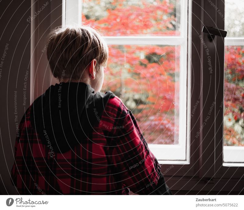 Boy in red plaid shirt looks thoughtfully out of the window at the red leaves of a small maple tree Boy (child) Shirt Red Meditative Checkered Looking Window