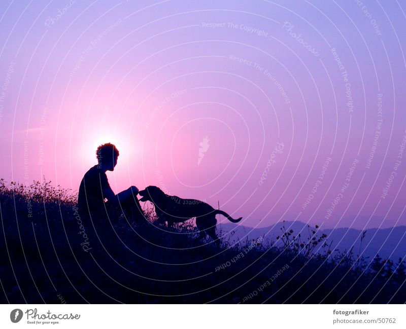 Best friends! Friendship Dusk Sunset Affection Dog Trust Evening Mountain Human being Freedom Life alpenglow Shadow Loneliness