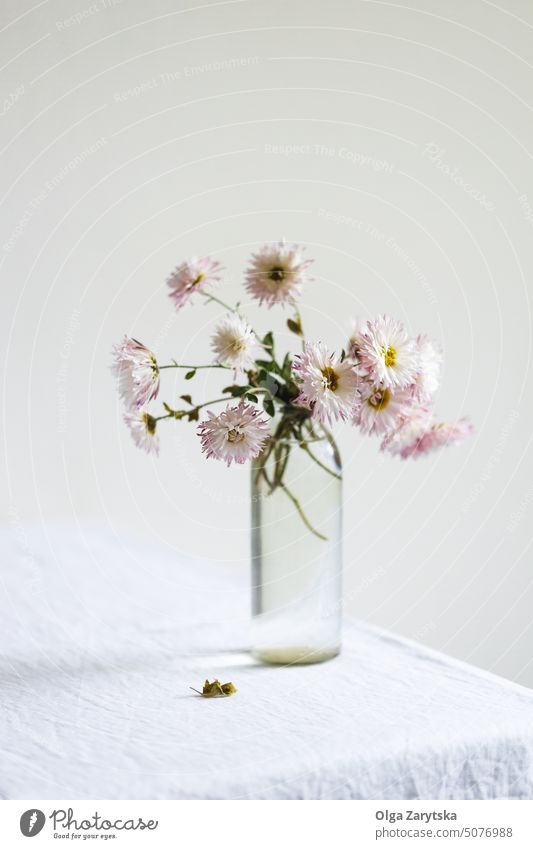 Bouquet of chrysanthemum on white linen tablecloth. still life flower autumn aesthetic minimal simlycity floral fragility vase daylight interior pastel home